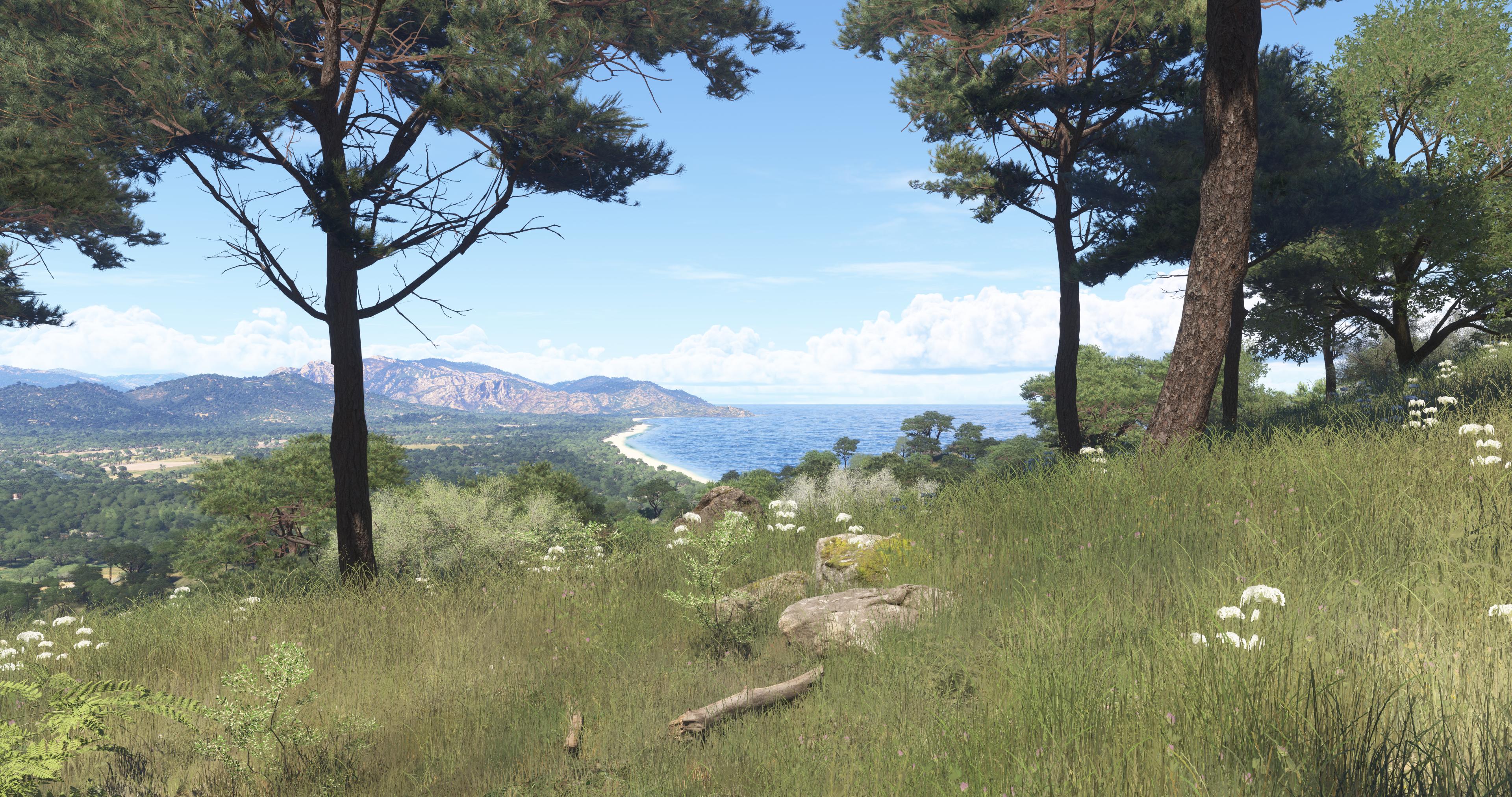 Microsoft Flight Simulator 2024 - Imagen 15